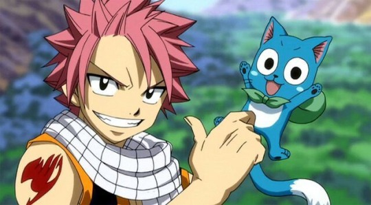 High Quality thumbs up natsu and happy Blank Meme Template