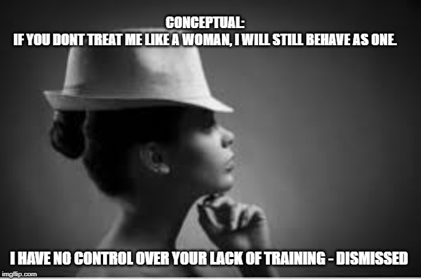 CONCEPTUAL: 
IF YOU DONT TREAT ME LIKE A WOMAN, I WILL STILL BEHAVE AS ONE. I HAVE NO CONTROL OVER YOUR LACK OF TRAINING - DISMISSED | image tagged in woman,lady | made w/ Imgflip meme maker