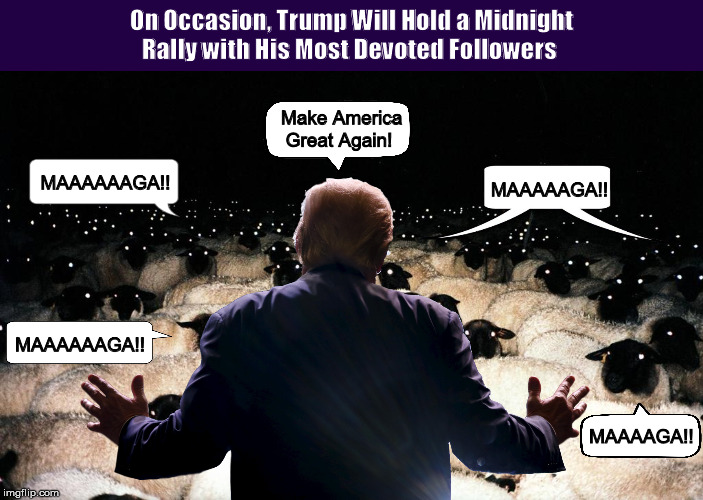 On Occasion, Trump Will Hold a Midnight Rally for His Most Devoted Followers | image tagged in trump,donald trump,sheep,sheeple,memes,rally,PoliticalHumor | made w/ Imgflip meme maker