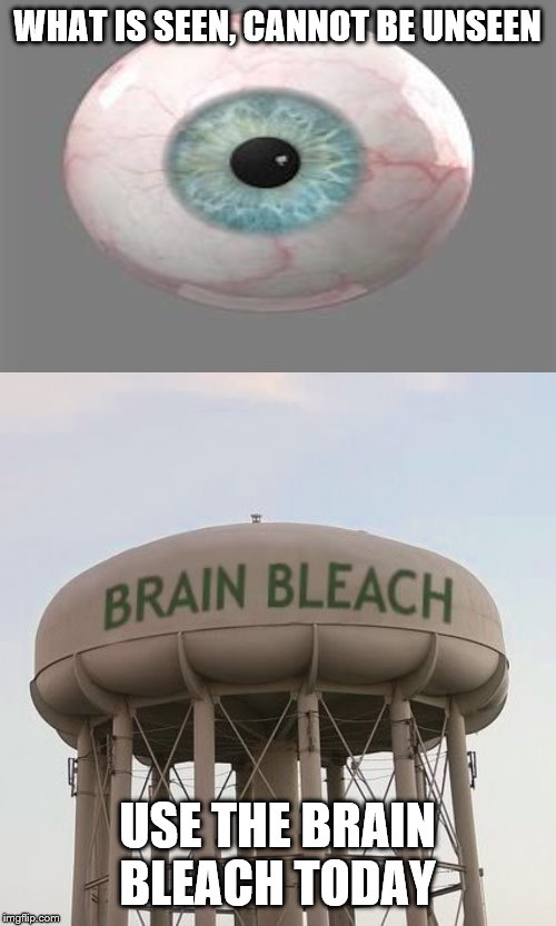 What is seen, can never be unseen | WHAT IS SEEN, CANNOT BE UNSEEN; USE THE BRAIN BLEACH TODAY | image tagged in brain bleach tower,memes,can't unsee | made w/ Imgflip meme maker