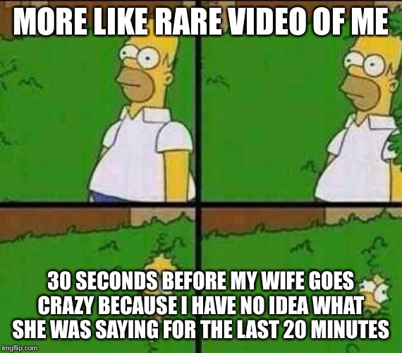 Homer Simpson in Bush - Large | MORE LIKE RARE VIDEO OF ME 30 SECONDS BEFORE MY WIFE GOES CRAZY BECAUSE I HAVE NO IDEA WHAT SHE WAS SAYING FOR THE LAST 20 MINUTES | image tagged in homer simpson in bush - large | made w/ Imgflip meme maker