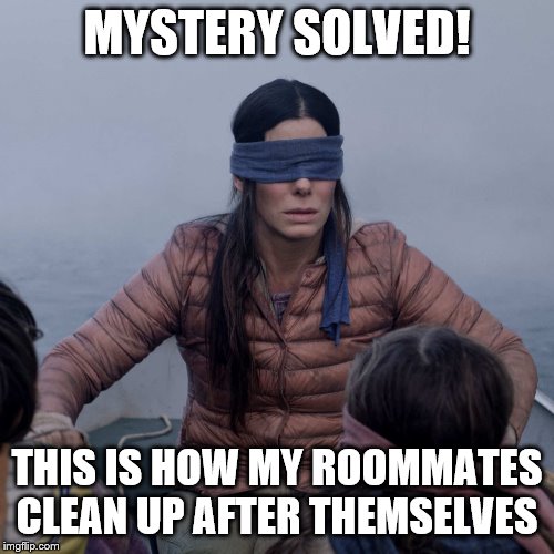 Bird Box | MYSTERY SOLVED! THIS IS HOW MY ROOMMATES CLEAN UP AFTER THEMSELVES | image tagged in memes,bird box | made w/ Imgflip meme maker