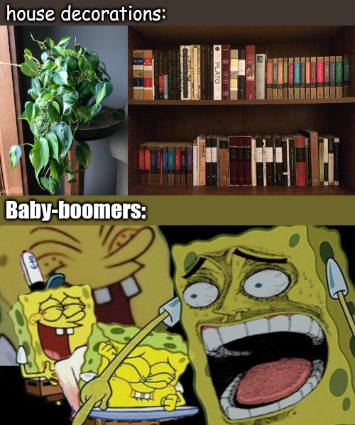house decorations:; Baby-boomers: | image tagged in memes,jokes | made w/ Imgflip meme maker