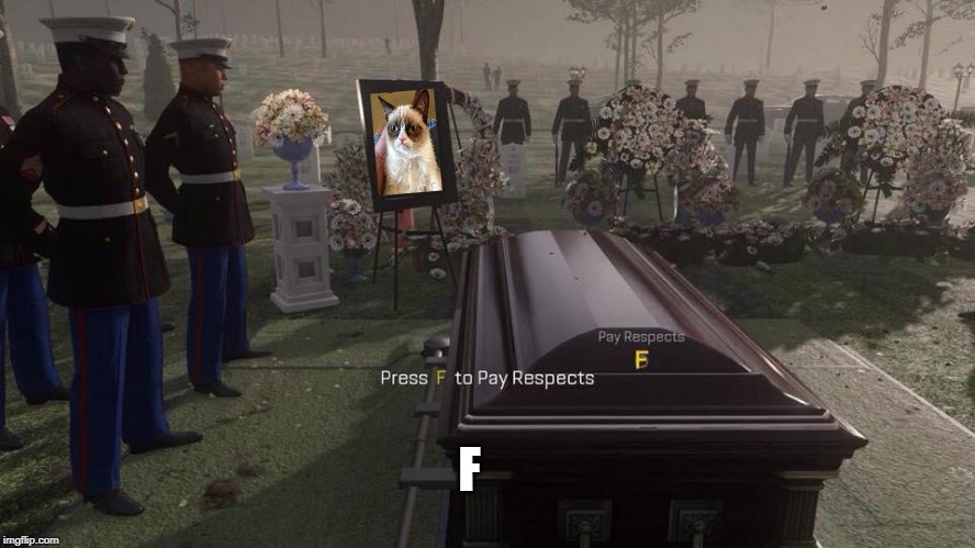 For Grumpy Cat, F. | F | image tagged in press f to pay respects | made w/ Imgflip meme maker