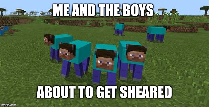 me and the boys | ME AND THE BOYS; ABOUT TO GET SHEARED | image tagged in me and the boys | made w/ Imgflip meme maker