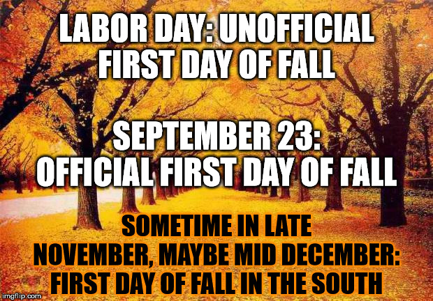 *sigh* | LABOR DAY: UNOFFICIAL FIRST DAY OF FALL; SEPTEMBER 23: OFFICIAL FIRST DAY OF FALL; SOMETIME IN LATE NOVEMBER, MAYBE MID DECEMBER: FIRST DAY OF FALL IN THE SOUTH | image tagged in autumn trees,seasons,south,weather | made w/ Imgflip meme maker