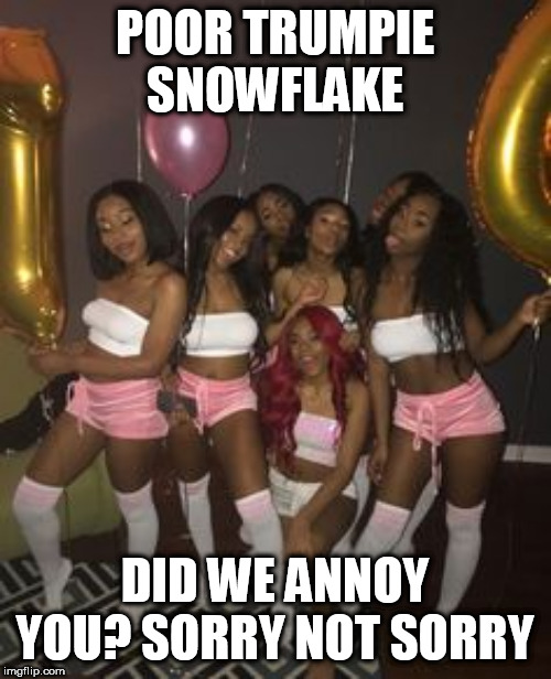 POOR TRUMPIE SNOWFLAKE; DID WE ANNOY YOU? SORRY NOT SORRY | made w/ Imgflip meme maker
