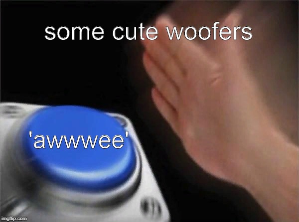 Blank Nut Button | some cute woofers; 'awwwee' | image tagged in memes,blank nut button | made w/ Imgflip meme maker