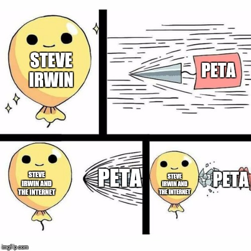 Indestructible balloon | STEVE IRWIN; PETA; STEVE IRWIN AND THE INTERNET; PETA; PETA; STEVE IRWIN AND THE INTERNET | image tagged in indestructible balloon | made w/ Imgflip meme maker