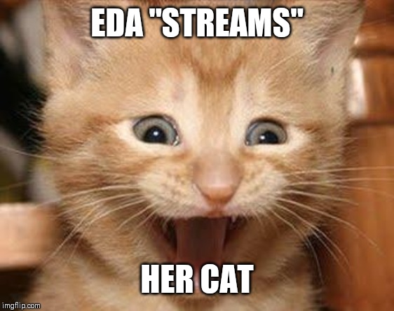 Excited Cat Meme | EDA "STREAMS"; HER CAT | image tagged in memes,excited cat | made w/ Imgflip meme maker