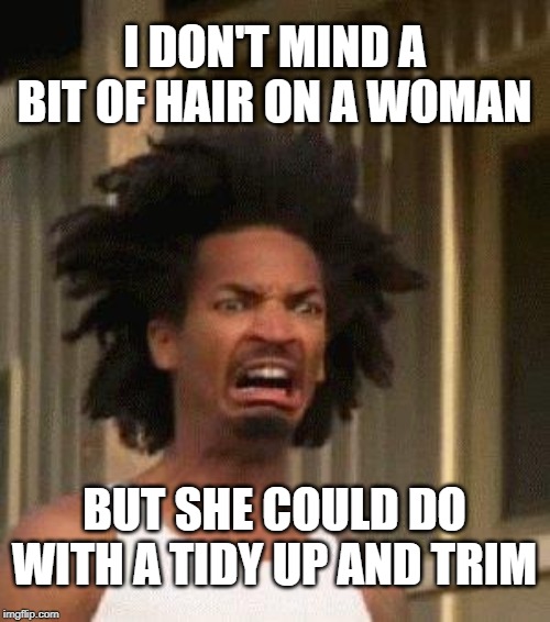 Disgusted Face | I DON'T MIND A BIT OF HAIR ON A WOMAN BUT SHE COULD DO WITH A TIDY UP AND TRIM | image tagged in disgusted face | made w/ Imgflip meme maker
