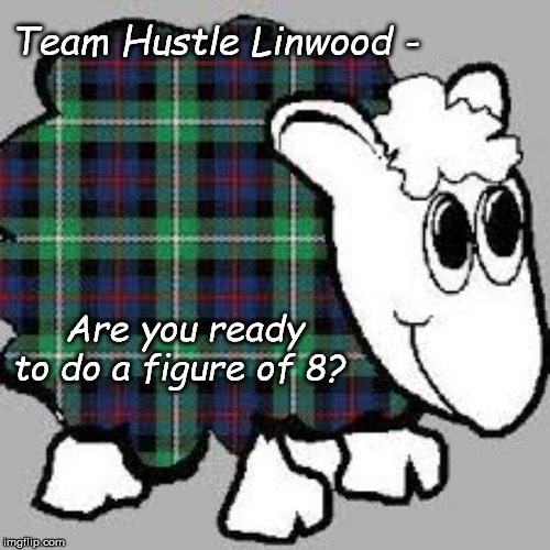 Hustle sheep | Team Hustle Linwood -; Are you ready to do a figure of 8? | image tagged in hustle,figure 8 | made w/ Imgflip meme maker