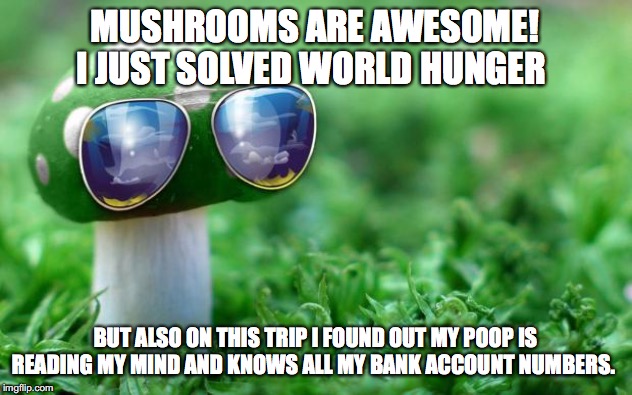 Deal With it Mushroom | MUSHROOMS ARE AWESOME! I JUST SOLVED WORLD HUNGER; BUT ALSO ON THIS TRIP I FOUND OUT MY POOP IS READING MY MIND AND KNOWS ALL MY BANK ACCOUNT NUMBERS. | image tagged in mushroom,trip,poop | made w/ Imgflip meme maker