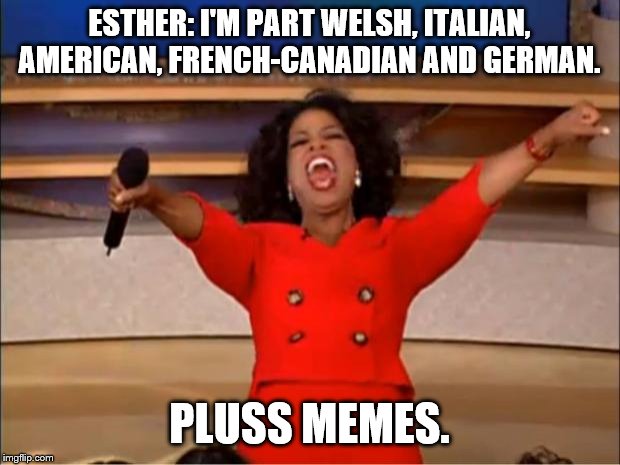 Oprah You Get A | ESTHER: I'M PART WELSH, ITALIAN, AMERICAN, FRENCH-CANADIAN AND GERMAN. PLUSS MEMES. | image tagged in memes,oprah you get a | made w/ Imgflip meme maker