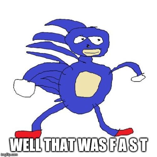 Sanic | WELL THAT WAS F A S T | image tagged in sanic | made w/ Imgflip meme maker