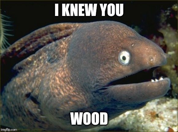 Bad Joke Eel Meme | I KNEW YOU WOOD | image tagged in memes,bad joke eel | made w/ Imgflip meme maker