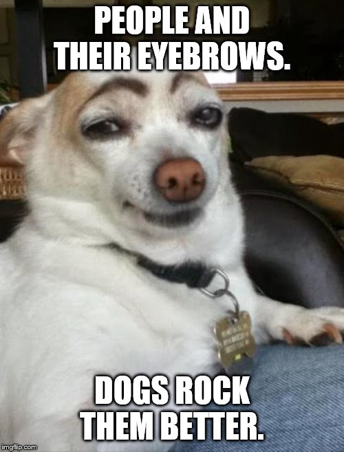 dog eyebrows | PEOPLE AND THEIR EYEBROWS. DOGS ROCK THEM BETTER. | image tagged in dog eyebrows | made w/ Imgflip meme maker