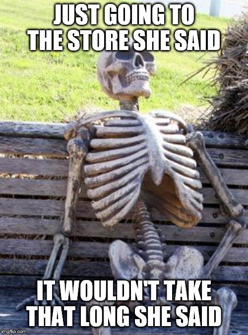 Waiting Skeleton Meme | JUST GOING TO THE STORE SHE SAID; IT WOULDN'T TAKE THAT LONG SHE SAID | image tagged in memes,waiting skeleton | made w/ Imgflip meme maker