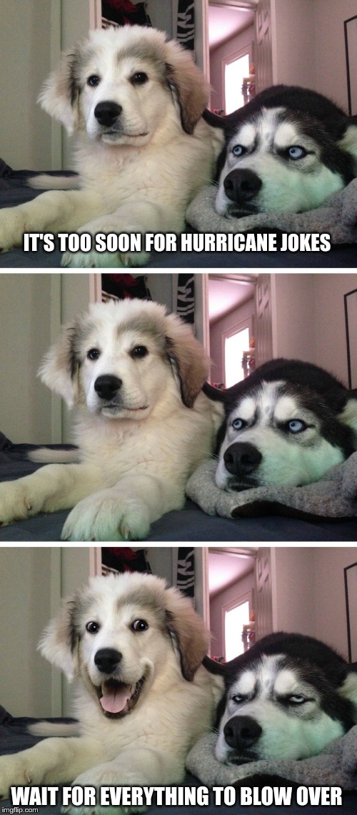 Bad pun dogs | IT'S TOO SOON FOR HURRICANE JOKES; WAIT FOR EVERYTHING TO BLOW OVER | image tagged in bad pun dogs | made w/ Imgflip meme maker