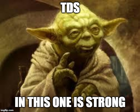 yoda | TDS IN THIS ONE IS STRONG | image tagged in yoda | made w/ Imgflip meme maker