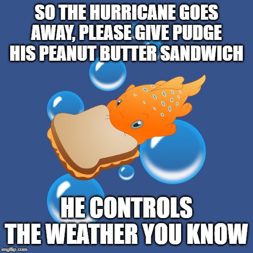 pudge | SO THE HURRICANE GOES AWAY, PLEASE GIVE PUDGE HIS PEANUT BUTTER SANDWICH; HE CONTROLS THE WEATHER YOU KNOW | image tagged in pudge | made w/ Imgflip meme maker