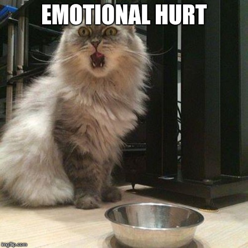 empty food bowl | EMOTIONAL HURT | image tagged in empty food bowl | made w/ Imgflip meme maker
