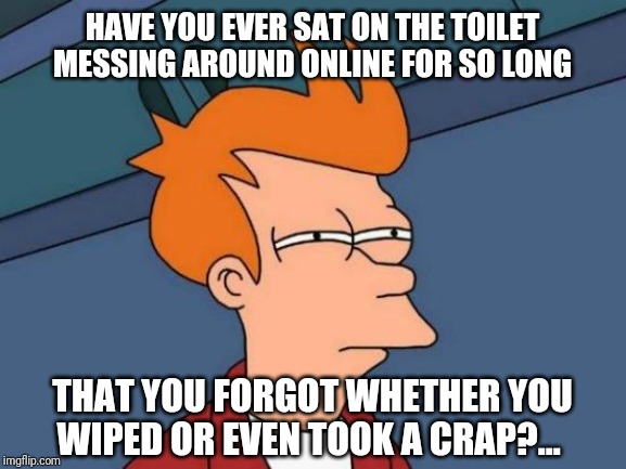Futurama Fry | HAVE YOU EVER SAT ON THE TOILET MESSING AROUND ONLINE FOR SO LONG; THAT YOU FORGOT WHETHER YOU WIPED OR EVEN TOOK A CRAP?... | image tagged in memes,futurama fry | made w/ Imgflip meme maker
