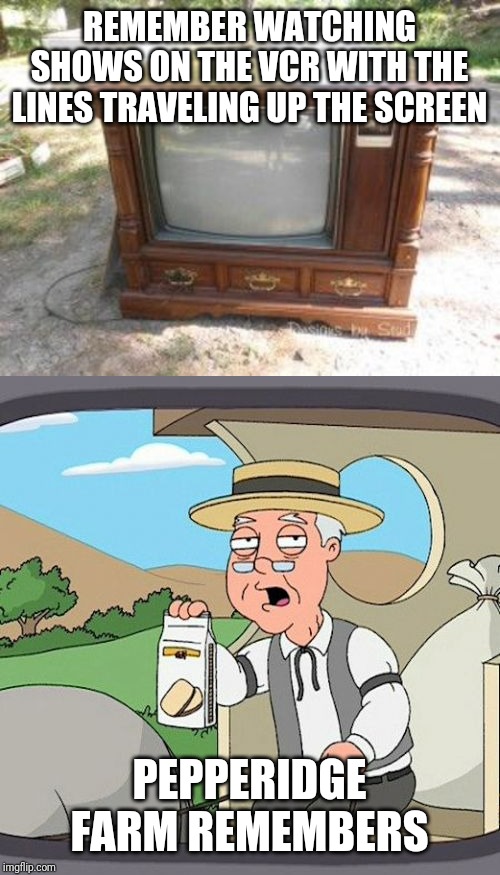 REMEMBER WATCHING SHOWS ON THE VCR WITH THE LINES TRAVELING UP THE SCREEN; PEPPERIDGE FARM REMEMBERS | image tagged in memes,pepperidge farm remembers | made w/ Imgflip meme maker