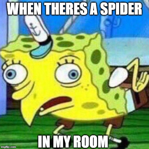 triggerpaul | WHEN THERES A SPIDER; IN MY ROOM | image tagged in triggerpaul | made w/ Imgflip meme maker