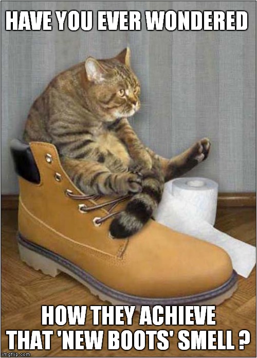 That Satisfying New Smell | HAVE YOU EVER WONDERED; HOW THEY ACHIEVE THAT 'NEW BOOTS' SMELL ? | image tagged in fun,cats,puss in boots | made w/ Imgflip meme maker