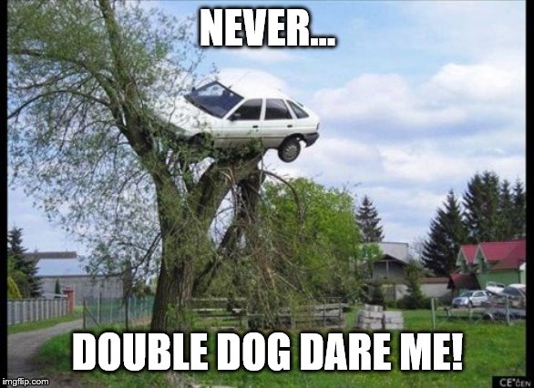 Secure Parking Meme | NEVER... DOUBLE DOG DARE ME! | image tagged in memes,secure parking | made w/ Imgflip meme maker