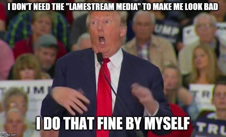 Donald Trump Mocking Disabled | I DON'T NEED THE "LAMESTREAM MEDIA" TO MAKE ME LOOK BAD; I DO THAT FINE BY MYSELF | image tagged in donald trump mocking disabled | made w/ Imgflip meme maker