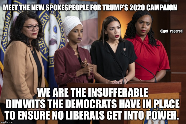 The Squad | MEET THE NEW SPOKESPEOPLE FOR TRUMP’S 2020 CAMPAIGN; @get_rogered; WE ARE THE INSUFFERABLE DIMWITS THE DEMOCRATS HAVE IN PLACE TO ENSURE NO LIBERALS GET INTO POWER. | image tagged in the squad | made w/ Imgflip meme maker