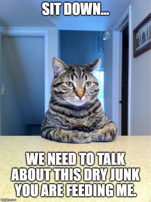 Take A Seat Cat |  SIT DOWN... WE NEED TO TALK ABOUT THIS DRY JUNK YOU ARE FEEDING ME. | image tagged in memes,take a seat cat | made w/ Imgflip meme maker