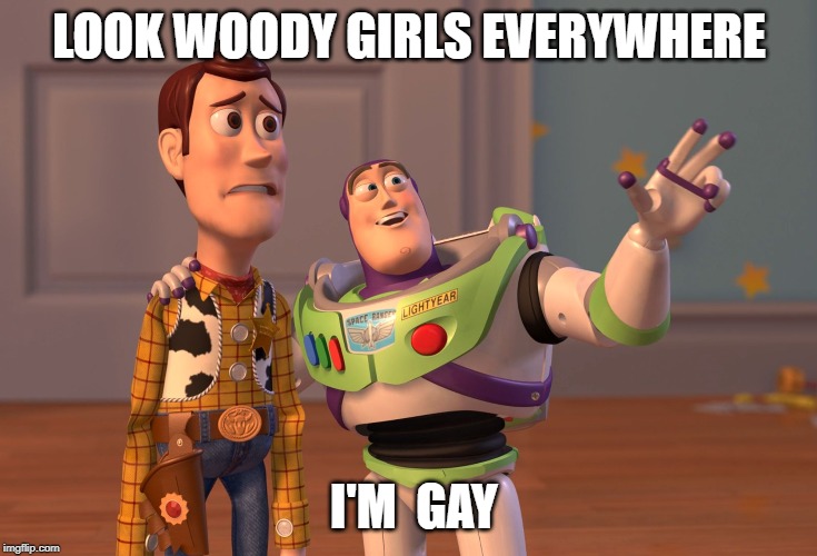 X, X Everywhere Meme | LOOK WOODY GIRLS EVERYWHERE; I'M  GAY | image tagged in memes,x x everywhere | made w/ Imgflip meme maker
