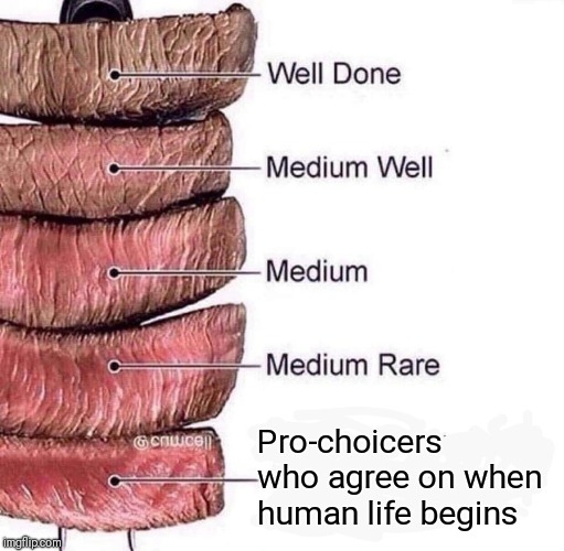 Is it at viability? 30 Weeks? Birth? The age of 2? When is a human a human? Isn't it simpler just to say at fertilization? | YH; Pro-choicers who agree on when human life begins | image tagged in really rare,pro choice,abortion,pro life,confused | made w/ Imgflip meme maker