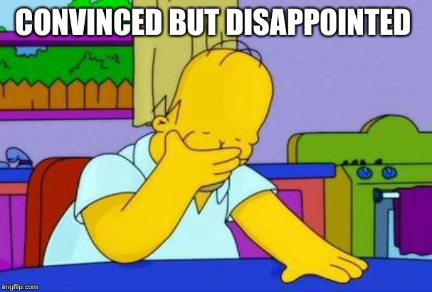OMG homer | CONVINCED BUT DISAPPOINTED | image tagged in omg homer | made w/ Imgflip meme maker