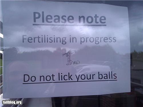 image tagged in funny