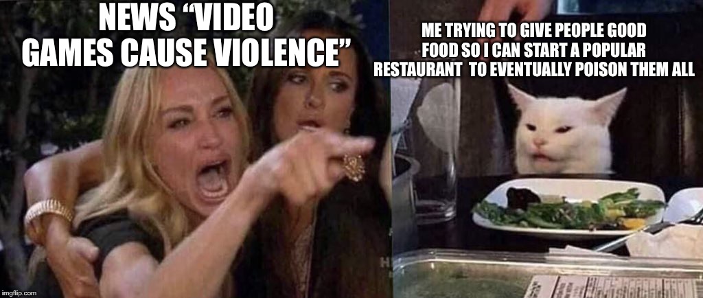 woman yelling at cat | NEWS “VIDEO GAMES CAUSE VIOLENCE”; ME TRYING TO GIVE PEOPLE GOOD FOOD SO I CAN START A POPULAR RESTAURANT  TO EVENTUALLY POISON THEM ALL | image tagged in woman yelling at cat | made w/ Imgflip meme maker