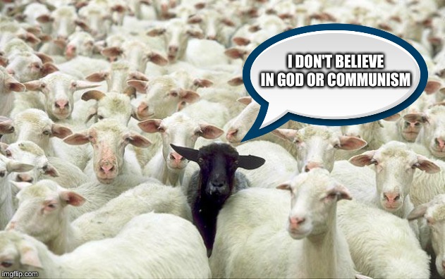 black sheep | I DON'T BELIEVE IN GOD OR COMMUNISM | image tagged in black sheep | made w/ Imgflip meme maker
