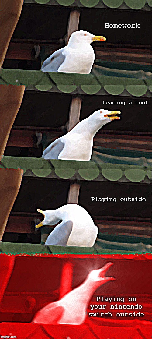 Inhaling Seagull Meme | Homework; Reading a book; Playing outside; Playing on your nintendo switch outside | image tagged in memes,inhaling seagull | made w/ Imgflip meme maker