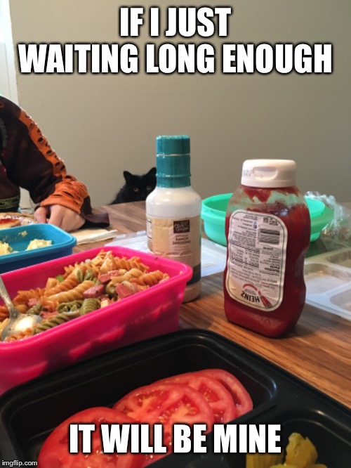 Happy labor day | IF I JUST WAITING LONG ENOUGH; IT WILL BE MINE | image tagged in salem,food | made w/ Imgflip meme maker