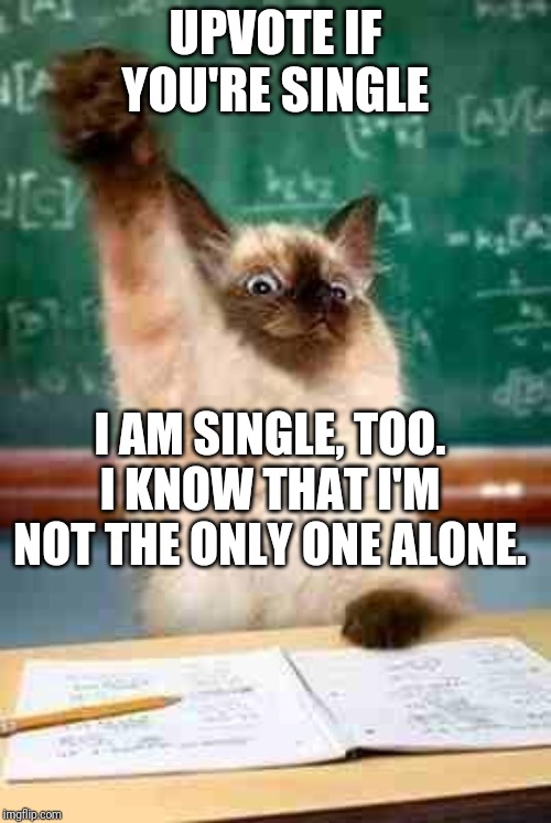 Anyone? |  UPVOTE IF YOU'RE SINGLE; I AM SINGLE, TOO. I KNOW THAT I'M NOT THE ONLY ONE ALONE. | image tagged in raise your hand if you know what a taco is | made w/ Imgflip meme maker