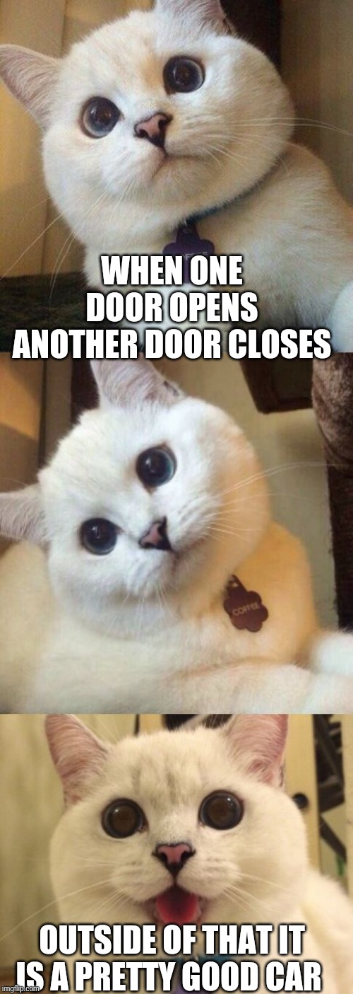 bad pun cat  | WHEN ONE DOOR OPENS ANOTHER DOOR CLOSES; OUTSIDE OF THAT IT IS A PRETTY GOOD CAR | image tagged in bad pun cat | made w/ Imgflip meme maker