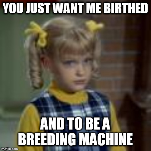YOU JUST WANT ME BIRTHED; AND TO BE A BREEDING MACHINE | made w/ Imgflip meme maker