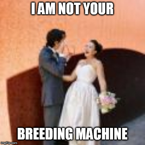 I AM NOT YOUR BREEDING MACHINE | I AM NOT YOUR; BREEDING MACHINE | image tagged in politics abortion,abortion rights,politics | made w/ Imgflip meme maker