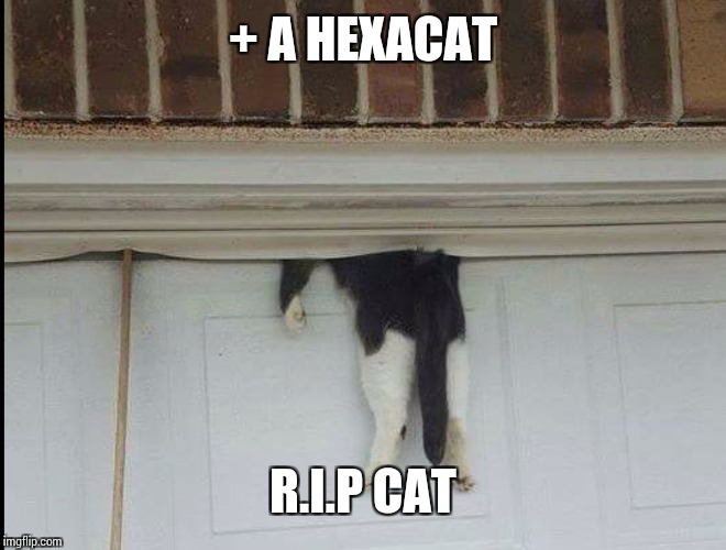 Bella the cat stuck in a garage door | + A HEXACAT R.I.P CAT | image tagged in bella the cat stuck in a garage door | made w/ Imgflip meme maker