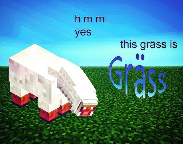 The grass is grass Blank Meme Template