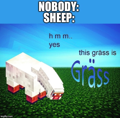 The grass is grass | NOBODY:; SHEEP: | image tagged in the grass is grass | made w/ Imgflip meme maker