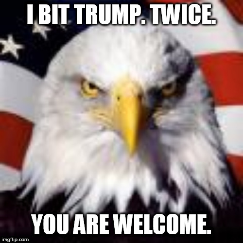 I BIT TRUMP. TWICE. YOU ARE WELCOME. | made w/ Imgflip meme maker